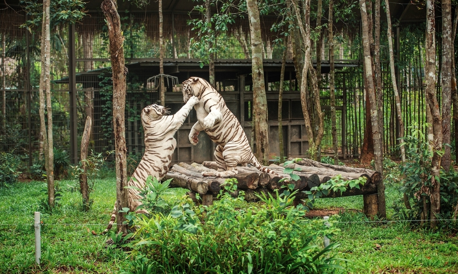 Safari Phú Quốc