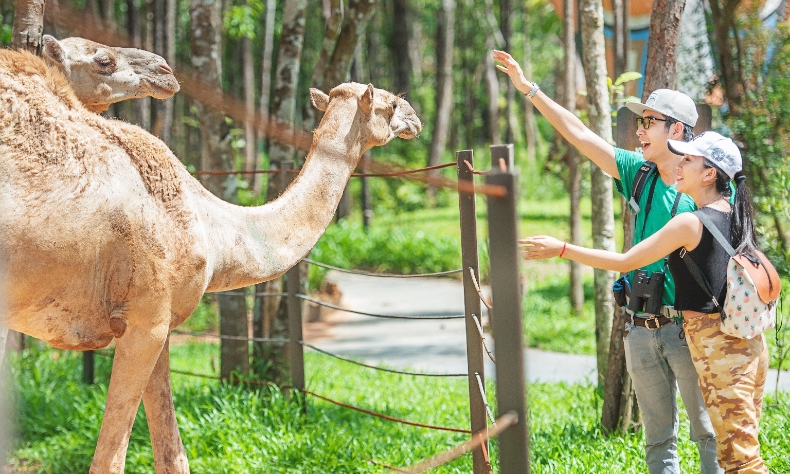 Safari Phú Quốc