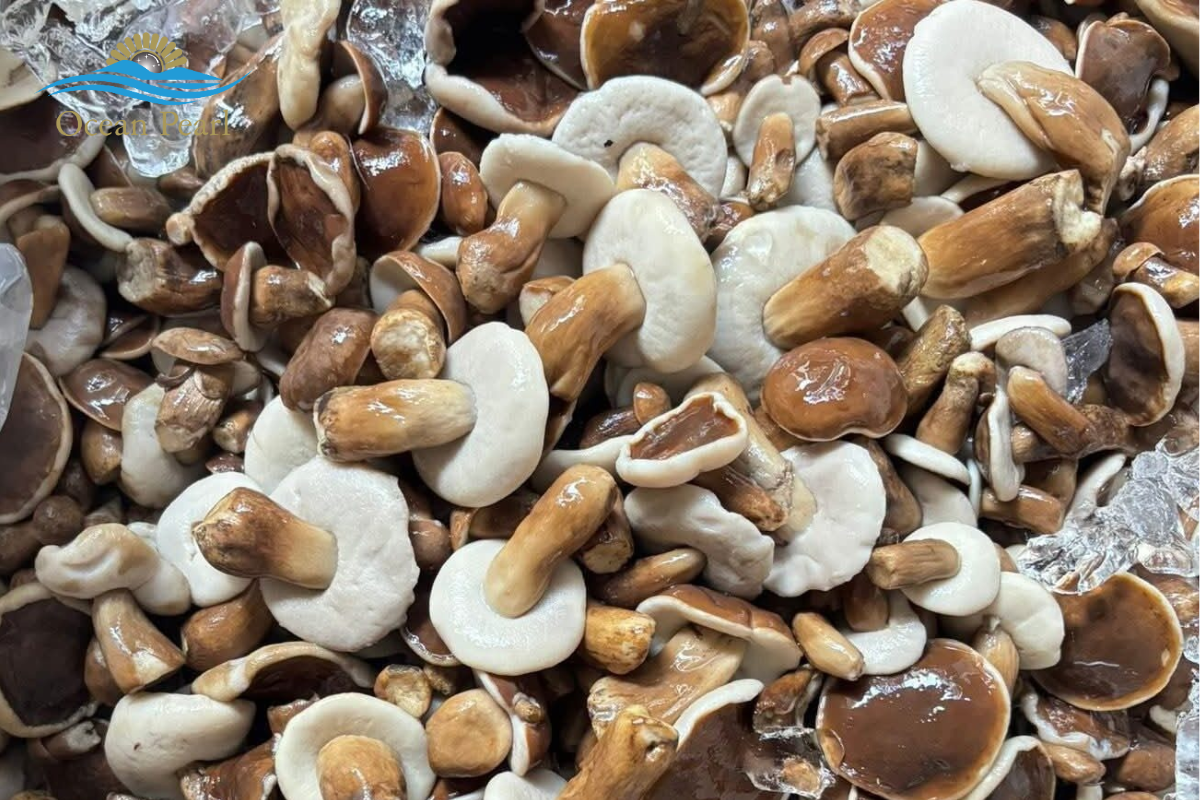 Nấm Tràm sau khi lưu trũ