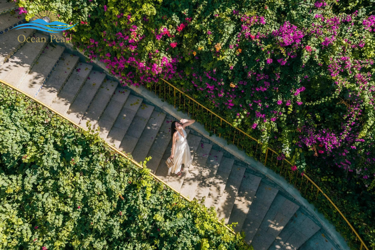 Thang Rồng Khu Địa Trung Hải