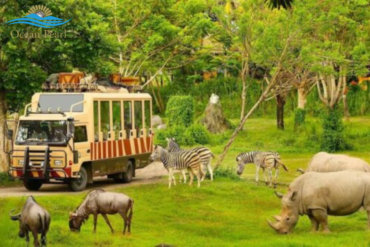 Vinpearl Safari Phú Quốc